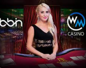 333体育官网下载